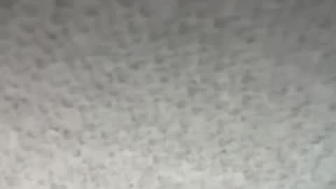 thankyoudaddy1 online show from October 28, 2025, 1:53 am