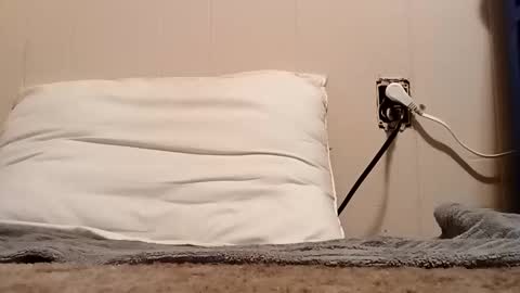 thatb1 online show from November 5, 2025, 1:27 am