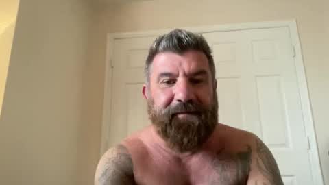 Snapshot of thatguybearded chatting on February 9, 2025, 3:56 pm ThatGuyBearded online show from February 9, 2025, 3:56 pm