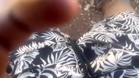 thatoneguy2802 online show from January 17, 2026, 7:57 am