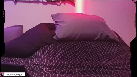 Snapshot of the_alpha_dog_xxx chatting on February 6, 2025, 9:17 pm the_alpha_dog_xxx online show from February 6, 2025, 9:17 pm