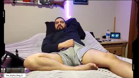 Snapshot of the_alpha_dog_xxx chatting on February 23, 2026, 4:37 pm the_alpha_dog_xxx online show from February 23, 2026, 4:37 pm