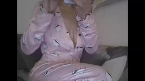 Snapshot of the_borderlands chatting on February 17, 2026, 4:46 pm the crazy travellers online show from February 17, 2026, 4:46 pm