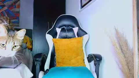 the dog lian online show from July 14, 2026, 12:24 am