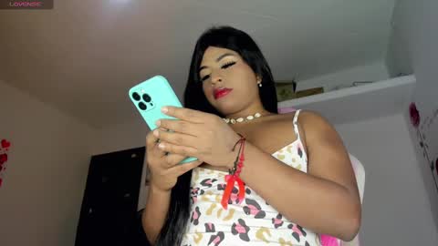 Snapshot of the_megan_ts chatting on February 21, 2025, 3:23 am the_megan_ts online show from February 21, 2025, 3:23 am