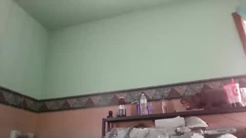 Snapshot of the_sam_ chatting on January 28, 2025, 4:30 pm the_sam_ online show from January 28, 2025, 4:30 pm