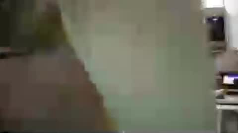 thebabybrii online show from July 13, 2026, 4:54 pm