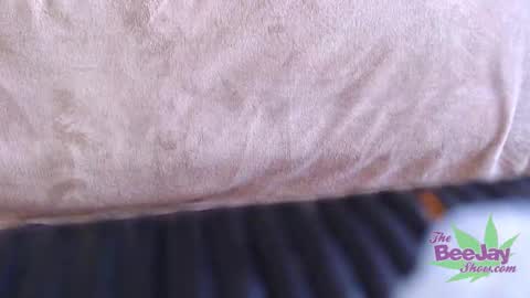 TheBeeJayShow online show from December 4, 2024, 3:43 pm