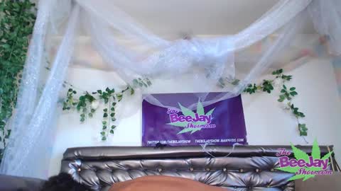 TheBeeJayShow online show from December 4, 2024, 9:57 pm