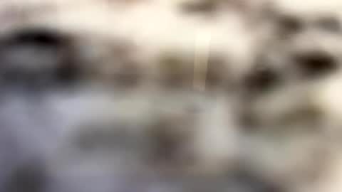 Snapshot of thebodythefeet chatting on January 4, 2025, 7:23 pm thebodythefeet online show from January 4, 2025, 7:23 pm