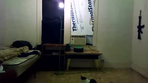 theepussypirate online show from February 28, 2026, 5:52 am