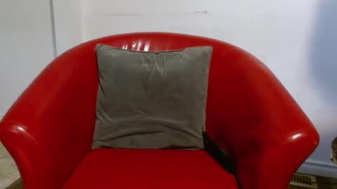 Snapshot of thekodyy chatting on January 26, 2025, 1:47 pm thekodyy online show from January 26, 2025, 1:47 pm