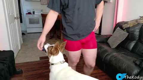 thekodyy online show from November 4, 2025, 1:10 pm