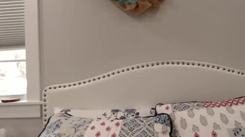 Lacey online show from December 1, 2024, 6:19 pm