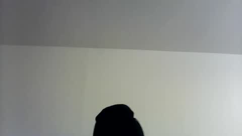 Snapshot of theman18951pa chatting on November 1, 2025, 10:06 am theman18951pa online show from November 1, 2025, 10:06 am