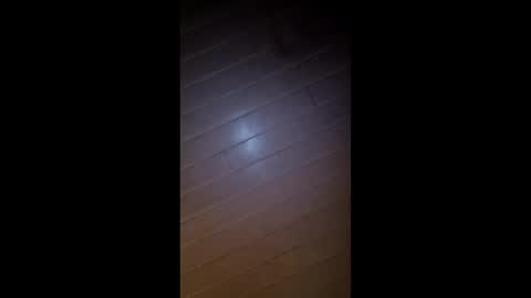 theonlyboi43ver online show from February 26, 2026, 8:35 am