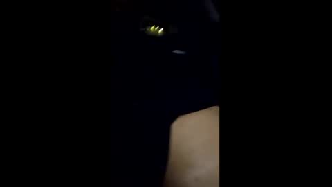 thepassionpalace online show from December 18, 2025, 10:21 am