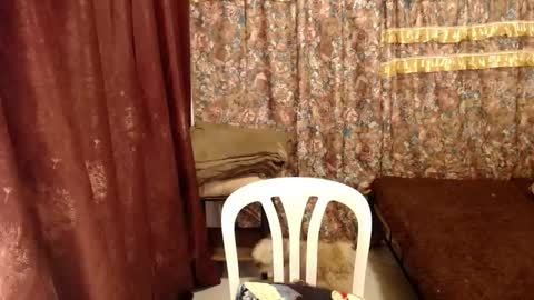 MIMI online show from February 12, 2025, 9:52 am