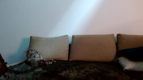 Yoshi online show from January 11, 2025, 9:25 pm