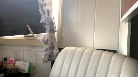 Snapshot of thesashadomme chatting on October 6, 2025, 5:54 pm The Sasha Domme online show from October 6, 2025, 5:54 pm