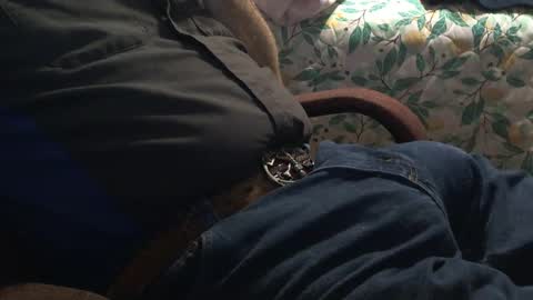 Snapshot of thetnguy chatting on December 21, 2024, 12:42 am thetnguy online show from December 21, 2024, 12:42 am