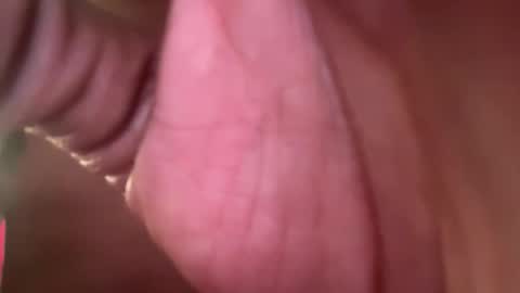 Snapshot of thetwomaskedbandits chatting on April 7, 2026, 10:42 pm thetwomaskedbandits online show from April 7, 2026, 10:42 pm