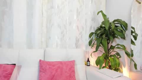 Thiago  online show from February 3, 2026, 11:10 pm