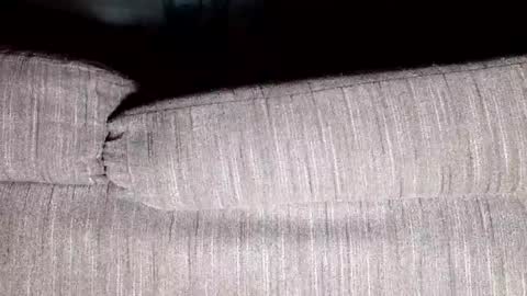 Snapshot of thirsty4itall chatting on January 8, 2025, 12:37 pm Thirsty4itall online show from January 8, 2025, 12:37 pm