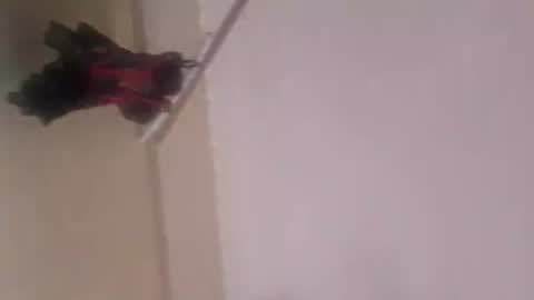 Snapshot of thomassr chatting on November 5, 2025, 12:10 am Thonas online show from November 5, 2025, 12:10 am