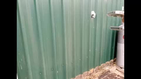 throbmasterr online show from September 12, 2025, 9:48 pm