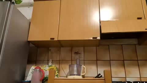 Little Wolf  online show from November 10, 2025, 5:34 pm