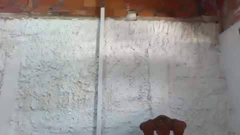 Tifany online show from February 11, 2025, 4:24 pm