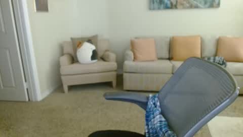 Snapshot of timealone120000 chatting on January 11, 2026, 8:03 pm timealone120000 online show from January 11, 2026, 8:03 pm