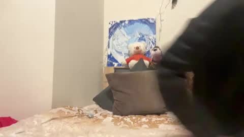 Snapshot of timveret chatting on December 8, 2024, 7:00 pm Wizard online show from December 8, 2024, 7:00 pm