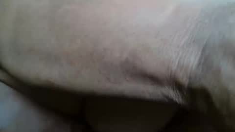 tinagiant online show from November 20, 2025, 1:00 pm