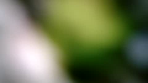 Snapshot of tinfoil6969 chatting on July 25, 2026, 7:00 pm see my bio masturbate thick cock ballsack edging cum online show from July 25, 2026, 7:00 pm