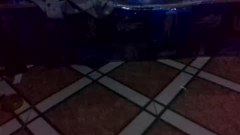 tino1roy online show from March 24, 2026, 7:13 am