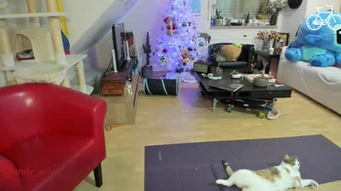 Snapshot of tiny_williams chatting on December 3, 2025, 4:31 am Tiny online show from December 3, 2025, 4:31 am