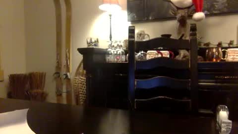 tinyandtatted420 online show from December 18, 2025, 1:22 am