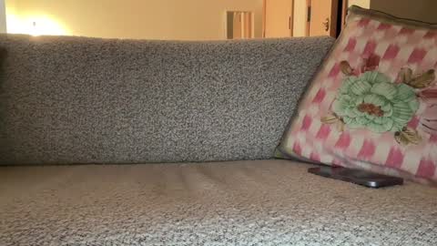 Snapshot of tinycasual chatting on December 6, 2024, 9:24 pm Tea online show from December 6, 2024, 9:24 pm