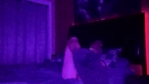 tipme240734 online show from November 24, 2025, 7:08 am