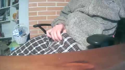 tisis80 online show from November 25, 2025, 8:47 am