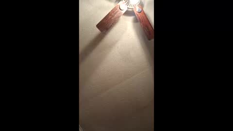 Vols online show from February 3, 2026, 12:54 pm