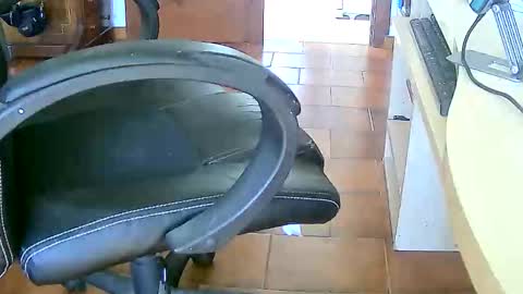 Tobiko online show from February 17, 2026, 3:29 pm