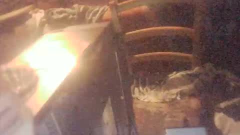 tobimcfly723 online show from April 16, 2026, 11:29 pm