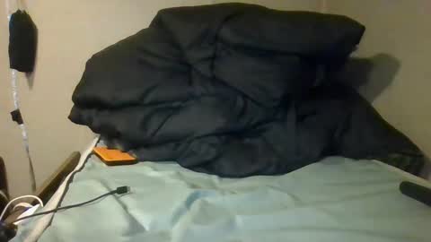 Snapshot of todamnmuch chatting on January 4, 2025, 3:50 am Dickinsince93 online show from January 4, 2025, 3:50 am