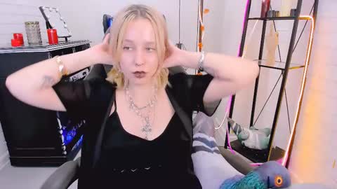 Snapshot of tollimoll chatting on December 6, 2024, 12:16 pm Tolli Moll online show from December 6, 2024, 12:16 pm