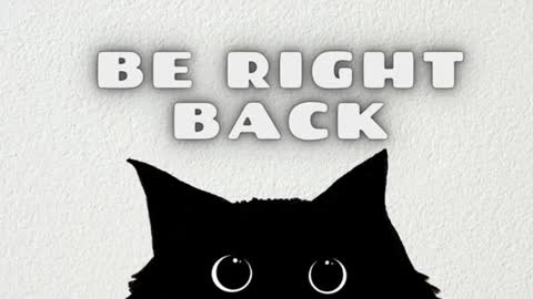 Snapshot of tollimoll chatting on January 28, 2025, 11:49 am Tolli Moll online show from January 28, 2025, 11:49 am