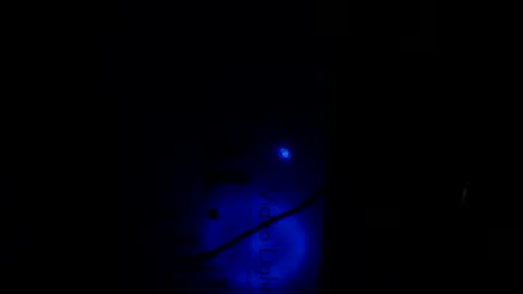   Thomas    online show from January 21, 2025, 10:30 pm