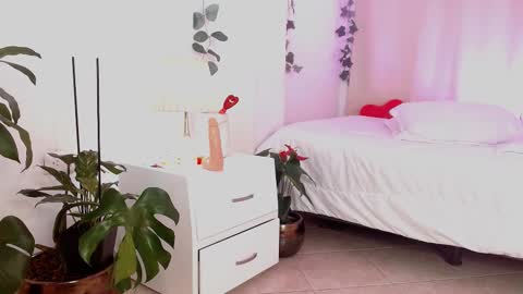 Snapshot of tommyfoxboy chatting on February 16, 2025, 5:15 pm Tommy Foxboy online show from February 16, 2025, 5:15 pm